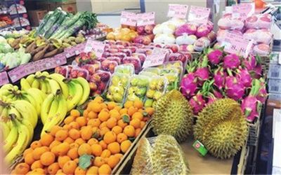 衡陽鮮果邦城市水果倉儲中心加盟新機(jī)遇 攜手共創(chuàng)鮮果零售新篇章